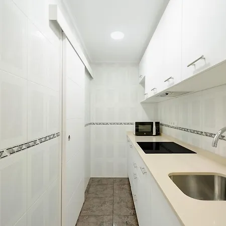 公寓 Sofia 托雷维耶哈